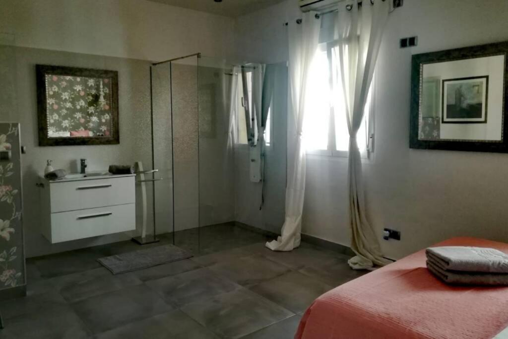 El Patio De San Bernardo Apartment เซบีญา ภายนอก รูปภาพ
