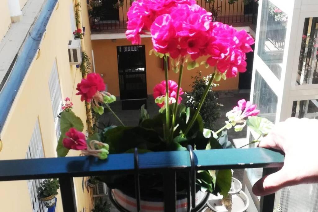 El Patio De San Bernardo Apartment เซบีญา ภายนอก รูปภาพ