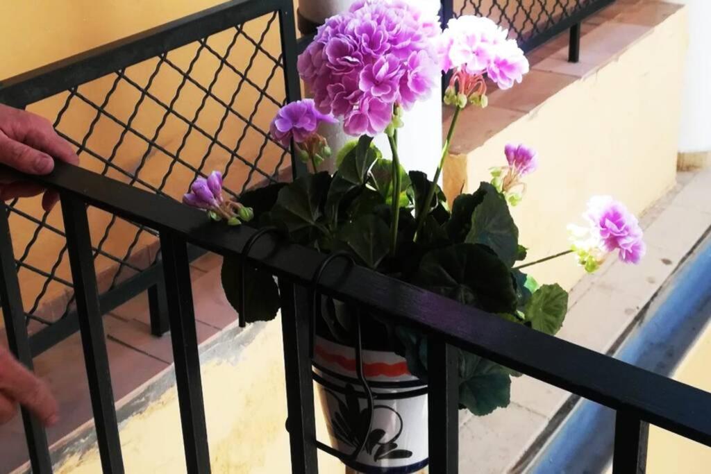 El Patio De San Bernardo Apartment เซบีญา ภายนอก รูปภาพ