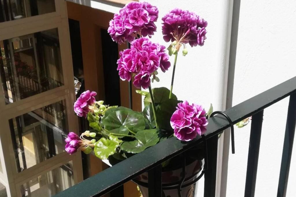 El Patio De San Bernardo Apartment เซบีญา ภายนอก รูปภาพ