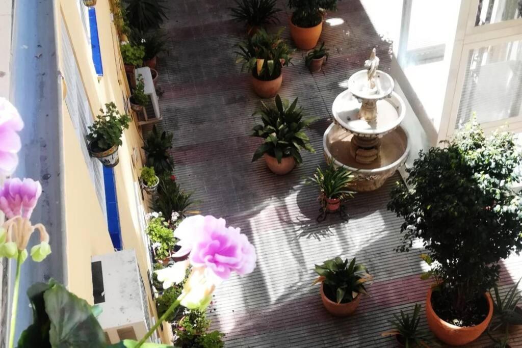 El Patio De San Bernardo Apartment เซบีญา ภายนอก รูปภาพ